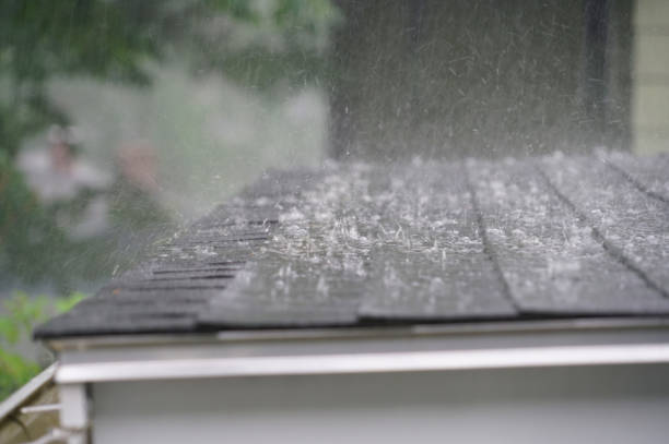 Best Roof Insulation Installation  in Gaffney, SC